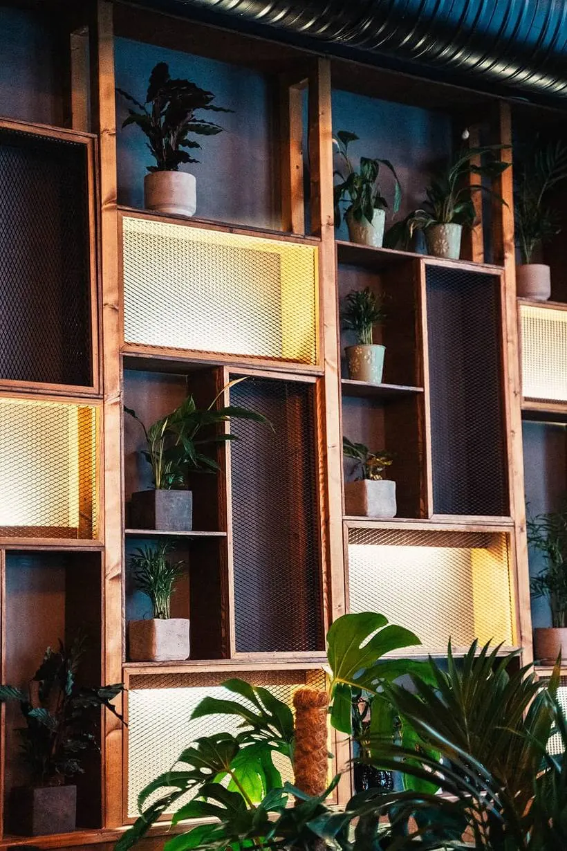 Beleuchtete Regalwand mit Pflanzen im House of Vegan